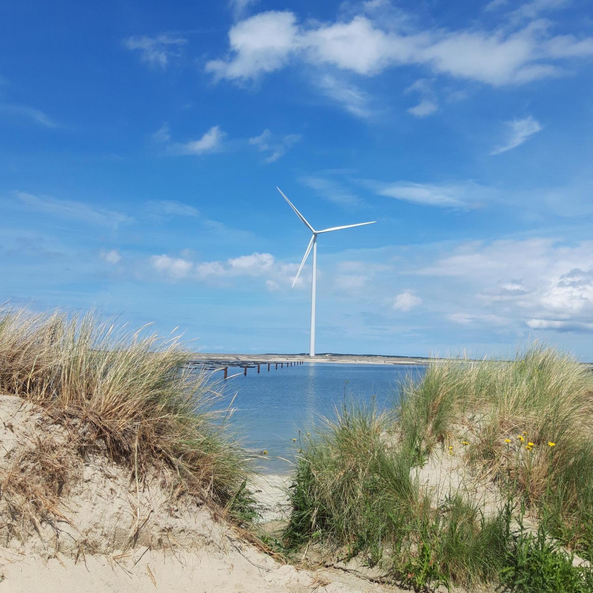 Vrijstaande Ruime Familiewoning Landelijk Gelegen Lewedorp Exterior foto