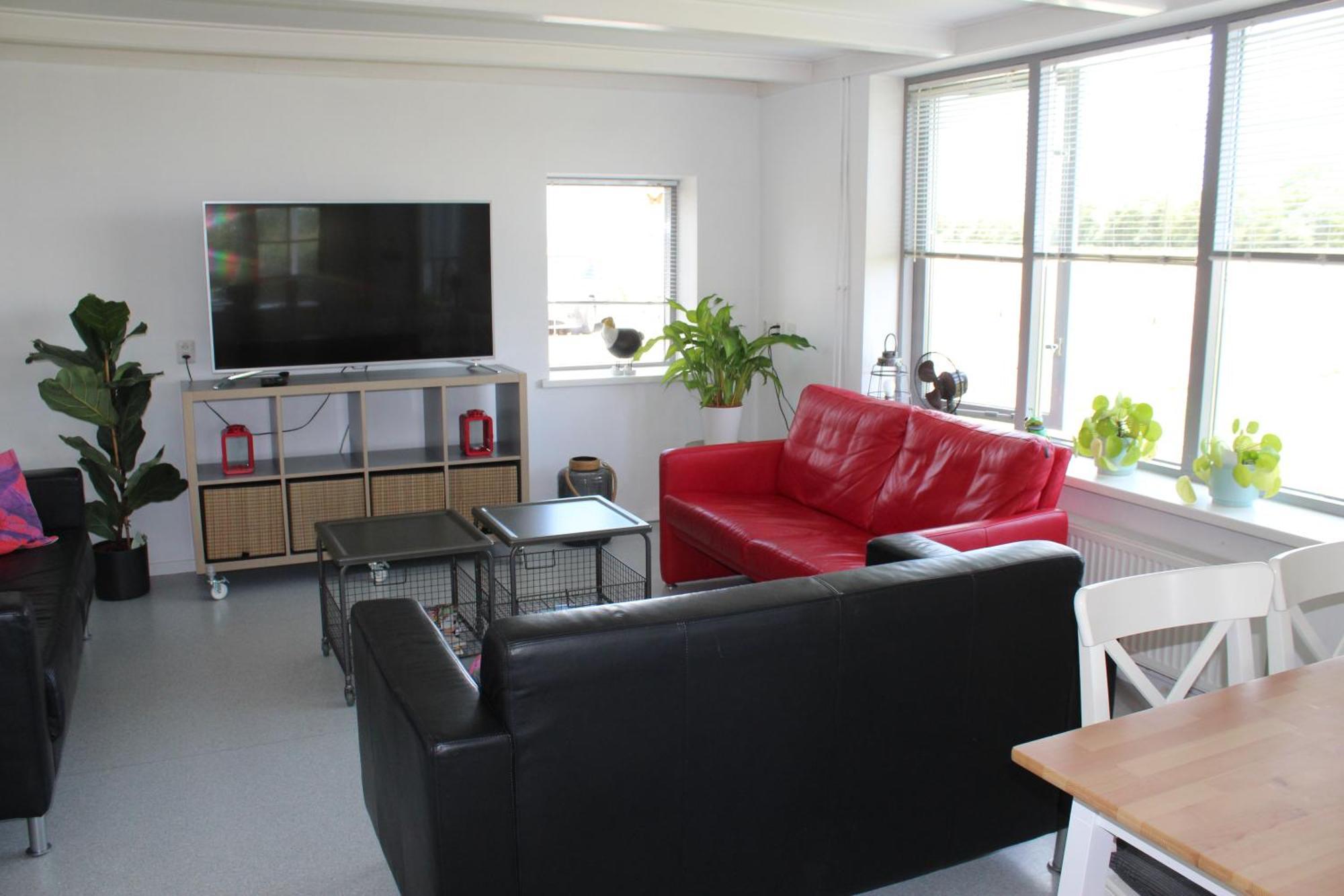 Vrijstaande Ruime Familiewoning Landelijk Gelegen Lewedorp Exterior foto