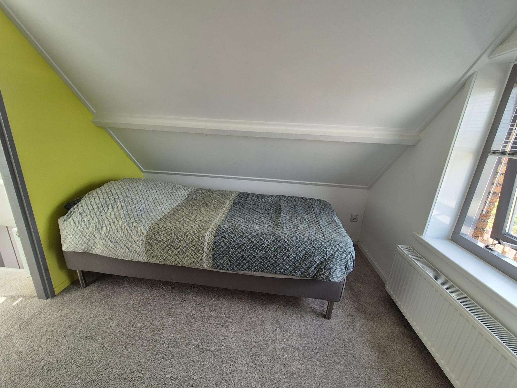 Vrijstaande Ruime Familiewoning Landelijk Gelegen Lewedorp Exterior foto