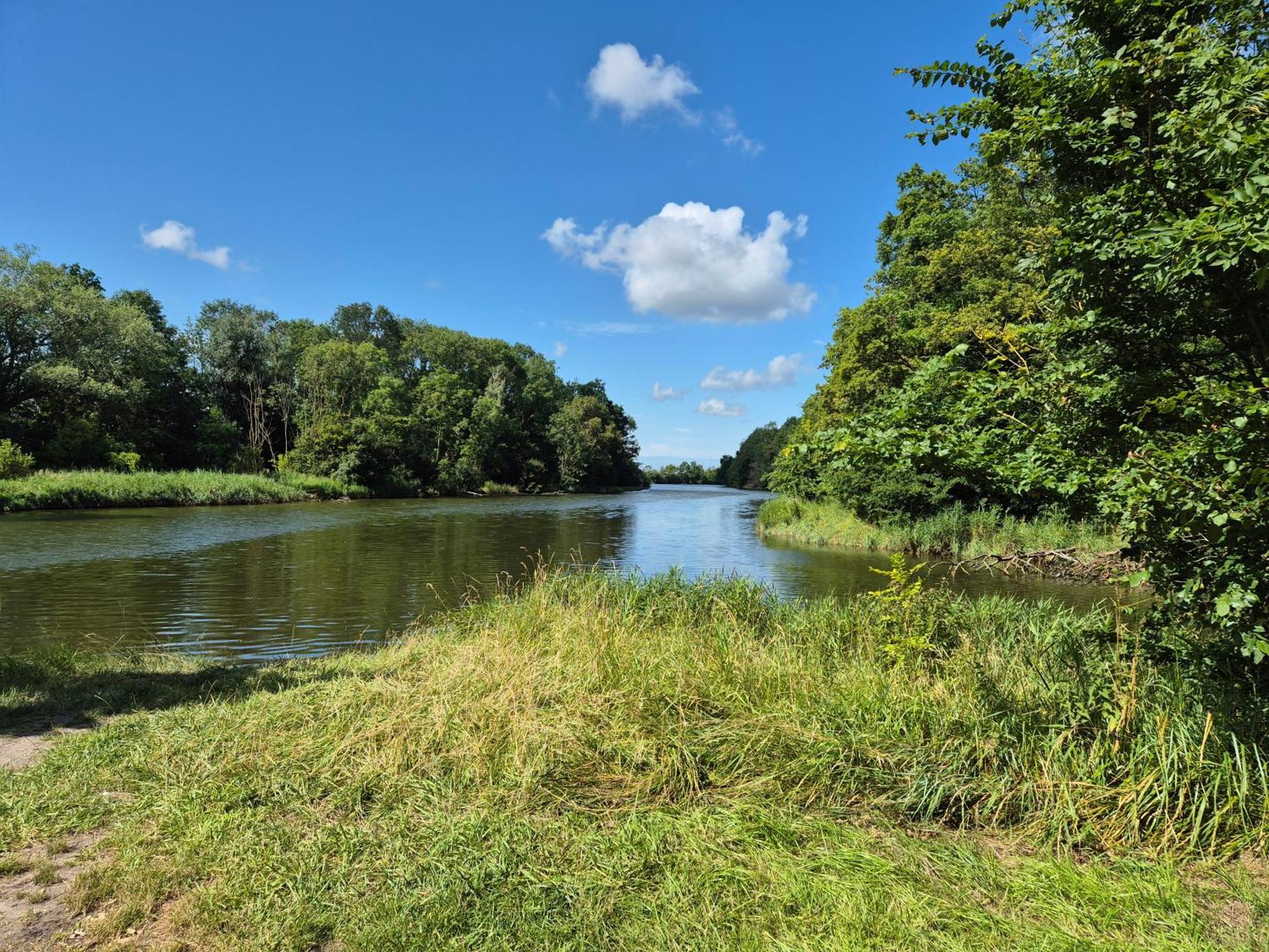 Vrijstaande Ruime Familiewoning Landelijk Gelegen Lewedorp Exterior foto